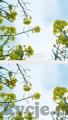 97福利一区二区三区-97福利一区二区三区的探索与思考