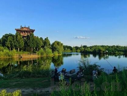 成人直播视频-成人直播视频，数字时代的隐秘角落与伦理考量