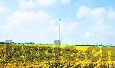 大象传媒站长工具-探索大象传媒站长工具的全面价值与实际应用
