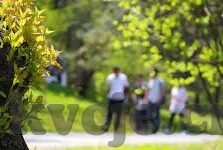 国产成人免费a在线视频-国产成人免费a在线视频，理性审视与合理使用