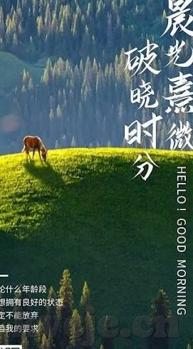 麻豆传媒全集资源-麻豆传媒全集资源，互联网艺术的多元维度与审美探索