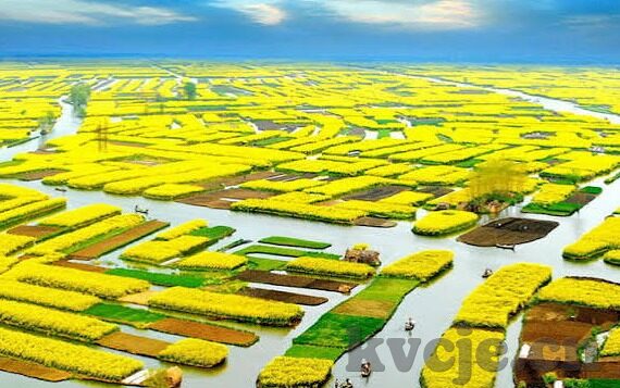 糖心直播app大全-糖心直播，多元娱乐，精彩无限